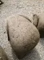 morepic-4